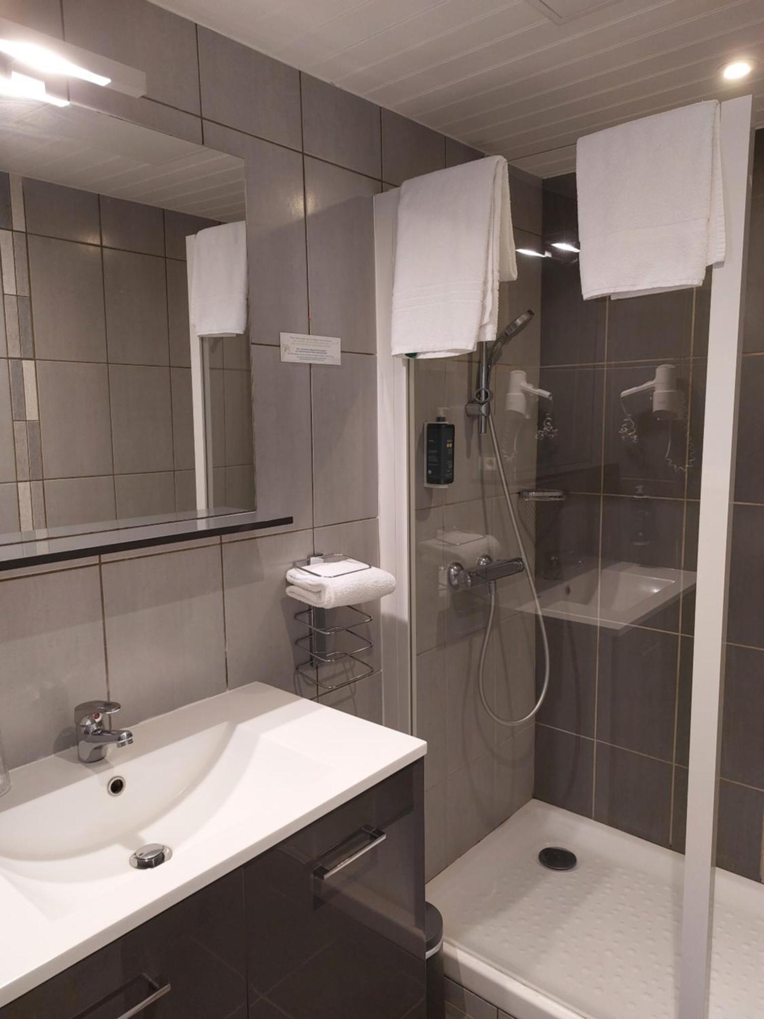 Brit Hotel Roanne - Le Grand Hotel Eksteriør billede